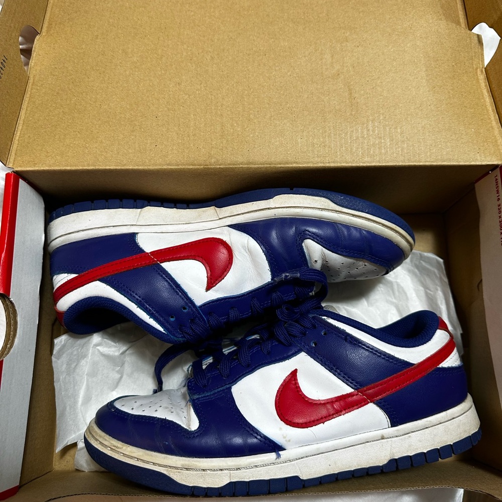 Nike Dunks Low USA